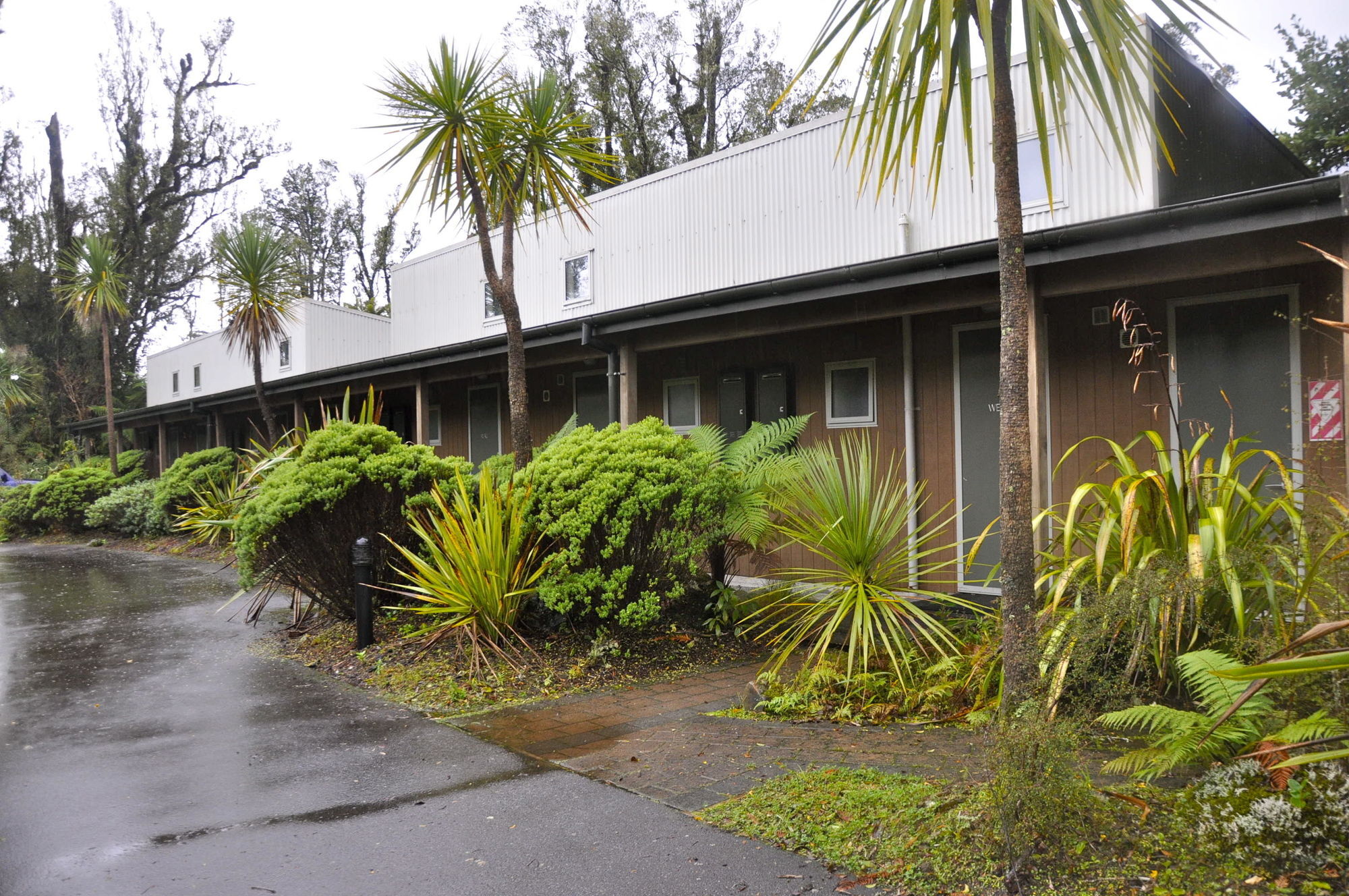 Motel Punga Grove Franz Josef Esterno foto
